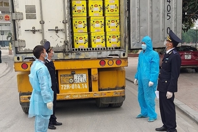 Tổng cục Hải quan kịp thời tham mưu, triển khai nhiều chính sách hỗ trợ doanh nghiệp