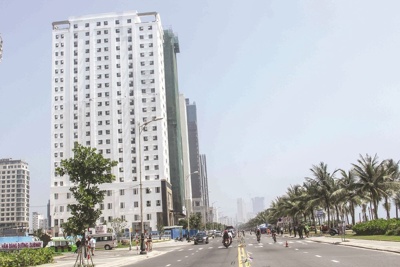 Rà soát tình trạng “núp bóng” mua đất