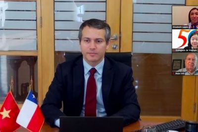 Thương mại Việt Nam - Chile tăng 6,5%/năm trong 10 năm có Hiệp định VCFTA