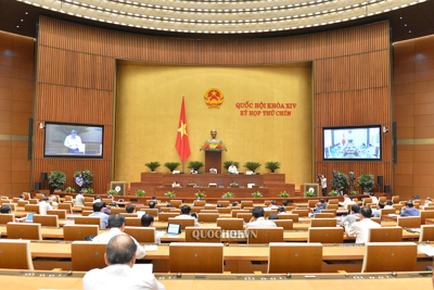 Đại biểu Quốc hội đồng thuận, đánh giá cao Nghị quyết miễn thuế sử dụng đất nông nghiệp 