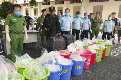 Tổng cục Hải quan "thưởng" Hải quan TP. Hồ Chí Minh vì chiến công triệt phá gần 500kg ma túy Ketamine