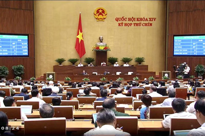 Quốc hội chính thức phê chuẩn EVFTA và EVIPA