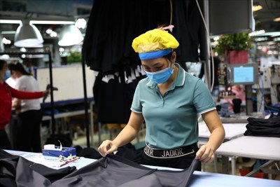 Giải pháp tài khóa nhanh chóng được triển khai, tích cực hỗ trợ phục hồi, phát triển kinh tế