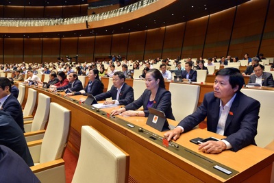 Tiếp tục miễn thuế sử dụng đất nông nghiệp đến hết năm 2025