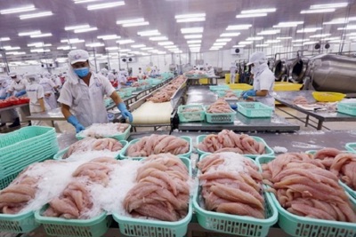 Xuất khẩu thủy sản: Trong "nguy" có "cơ"