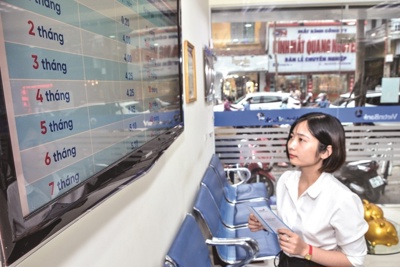 Lãi suất sẽ giữ ở mức thấp trong dài hạn