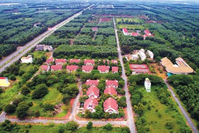  Những làn sóng "ngược" trên thị trường địa ốc phía Nam 
