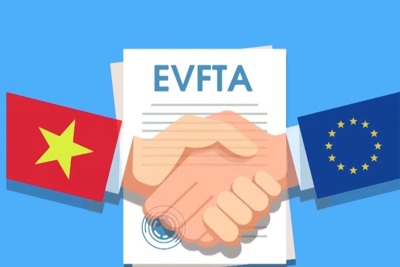 EVFTA: Đòn bẩy thúc đẩy quan hệ thương mại Việt Nam – Đan Mạch