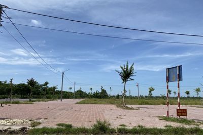  Vùng ven Hà Nội sôi động đấu giá đất 