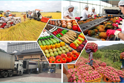  Xuất siêu nông lâm thủy sản nửa đầu năm gấp đôi cùng kỳ 2021, Mỹ là thị trường lớn nhất 
