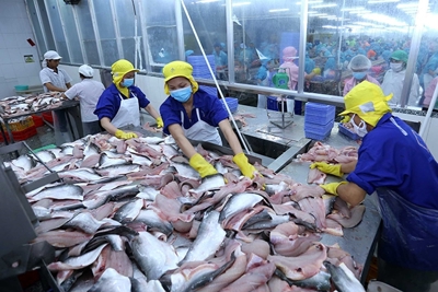 Tin vui đối với ngành sản xuất, xuất khẩu thủy sản của Việt Nam