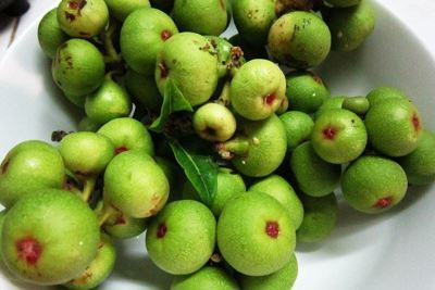 Ngoài là "thần dược" chống ung thư, quả sung còn chữa được nhiều bệnh