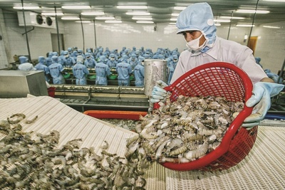 212 mặt hàng thuỷ sản được hưởng thuế 0% ngay khi EVFTA có hiệu lực