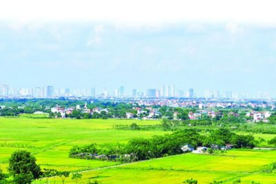  Điều kiện chuyển mục đích sử dụng đất được quy định thế nào?
