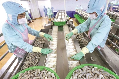 Xuất khẩu nông thủy sản “chạy nước rút”