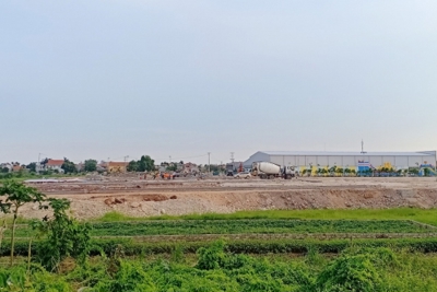 Cò đất thổi giá, Quảng Ninh tạm dừng việc đấu giá đất nền