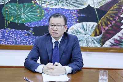 Nhà đầu tư không nên mua trái phiếu doanh nghiệp khi chưa đánh giá rủi ro