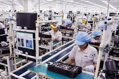  Xuất khẩu sang EU tăng hơn 21% so với cùng kỳ nhờ tận dụng EVFTA 
