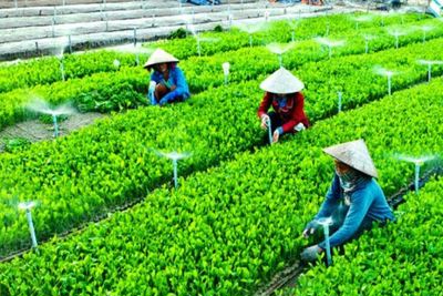 Truyền thông và marketing cho các hợp tác xã trong cuộc Cách mạng Công nghiệp 4.0