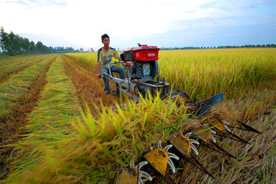 Một số giải pháp thúc đẩy chuyển dịch cơ cấu ngành kinh tế vùng Đồng bằng Sông Cửu Long
