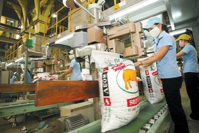 Giảm thuế nhập khẩu, hỗ trợ ngành sản xuất thức ăn chăn nuôi