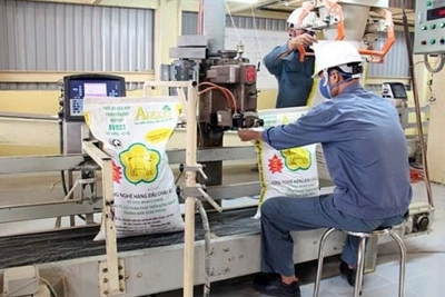 Ngành chăn nuôi gặp thách thức kép