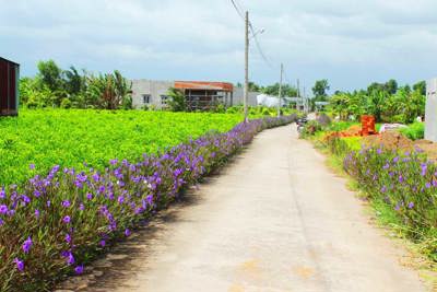 Huy động nguồn lực cho bảo vệ môi trường trong xây dựng nông thôn mới