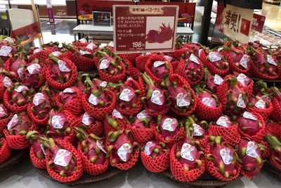  Kết nối doanh nghiệp xuất nhập khẩu nông sản ​Việt Nam – Nhật Bản 