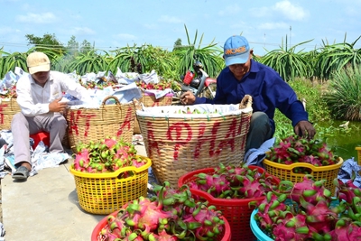 Nhiều cơ hội để đẩy mạnh xuất khẩu nông sản sang thị trường châu Âu