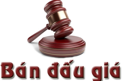 DATC lựa chọn tổ chức bán đấu giá khoản nợ, tư vấn pháp lý