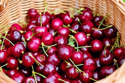 Cherry Trung Quốc nhập nhằng cherry Úc