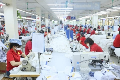 Thương mại Việt - Ấn có khả năng tăng 15-20 tỷ USD