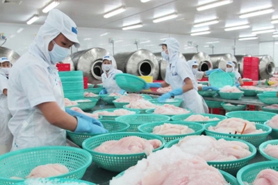 Năm 2030, phấn đấu giá trị kim ngạch xuất khẩu thủy sản đạt 14-16 tỷ USD