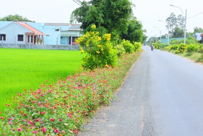 Kinh phí sự nghiệp từ ngân sách trung ương chi cho môi trường nông thôn mới