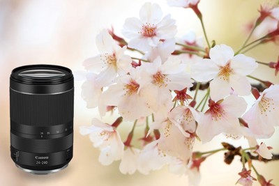Trải nghiệm với ống kính mới RF24-240mm f/4-6.3 IS USM của Canon