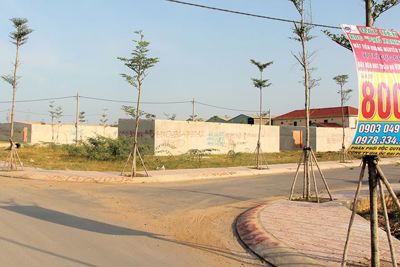 Nhận diện “nguồn cơn” dự án ma phát tác