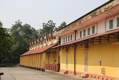 Ngành Tài chính sẵn sàng ứng phó với thiên tai, dịch bệnh