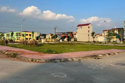 Đã hết "tháng ngâu", thị trường vẫn tiếp đà trầm lắng