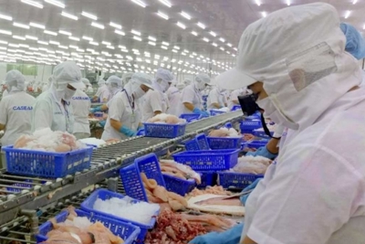 Nắm bắt cơ hội từ EVFTA, xuất khẩu thủy sản sang EU tăng mạnh