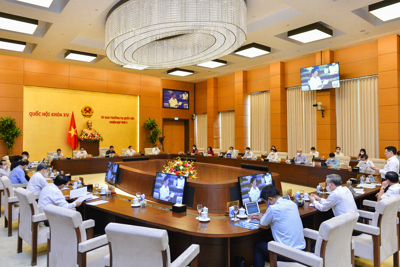Hoàn chỉnh dự án Luật Kinh doanh Bảo hiểm sửa đổi trình Quốc hội tại Kỳ họp thứ 2