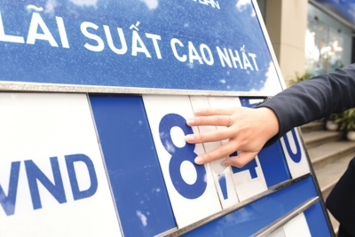  Lãi suất tiền gửi có thể giảm thêm 0,1-0,3%/năm 