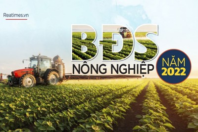 Bất động sản nông nghiệp đa dụng: Thị trường mới nổi cho các nhà đầu tư