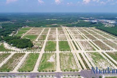 "Sốt đất" liệu có xảy ra sau khi dịch được kiểm soát? 
