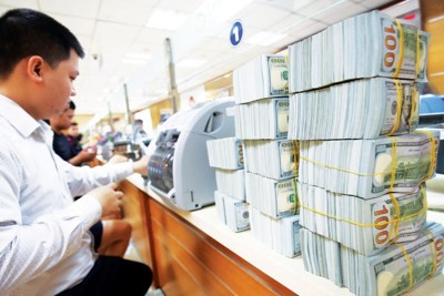 Lãi suất điều hành giảm có là lực đẩy tăng tỷ giá cuối năm?