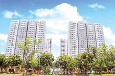 Giải bài toán nhà ở cho TP. Hồ Chí Minh