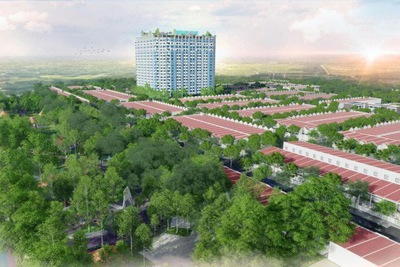  Truy tìm thị trường căn hộ chung cư "nóng" nhất hiện nay 
