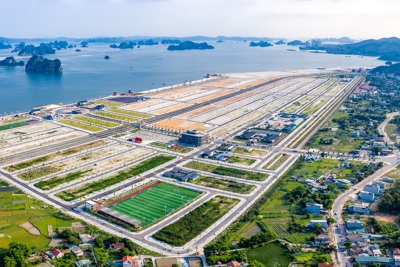 Lý do nào khiến Phương Đông Vân Đồn được ví như “gà đẻ trứng vàng”?