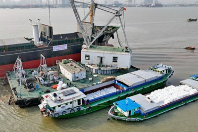  Thị trường xuất khẩu gạo năm 2023 diễn biến ra sao? 