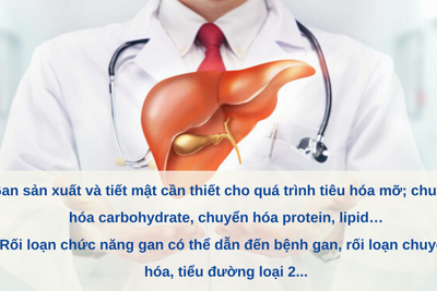 Bảo vệ gan bằng những thực phẩm lành mạnh