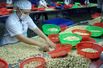 “Chìa khoá” thúc đẩy xuất khẩu vào thị trường Anh